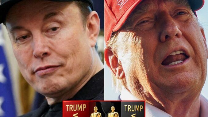 1.Musk criticizes Trump’s new perfume line for its cheap scent and poor quality